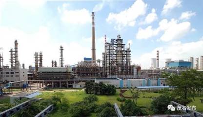 大開眼界！茂名這座“花園式工廠”，原來這么美！